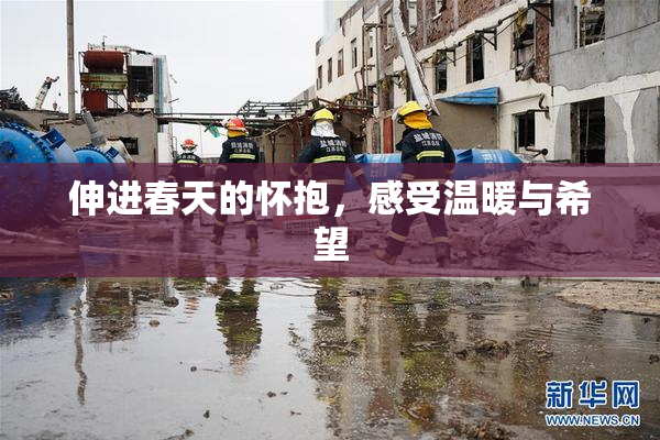 伸进春天的怀抱，感受温暖与希望