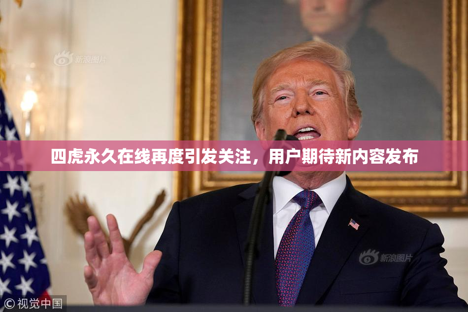 四虎永久在线再度引发关注，用户期待新内容发布