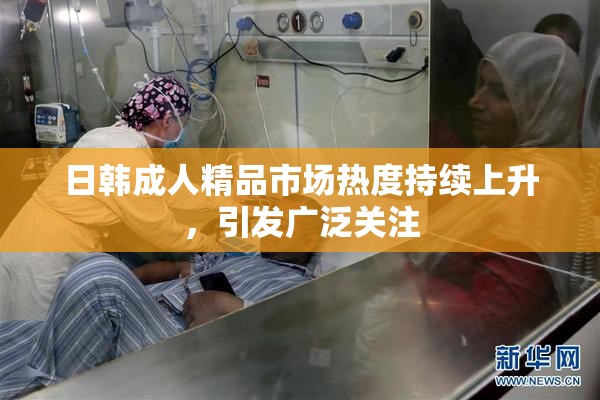 日韩成人精品市场热度持续上升，引发广泛关注