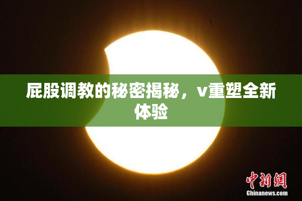 屁股调教的秘密揭秘，v重塑全新体验