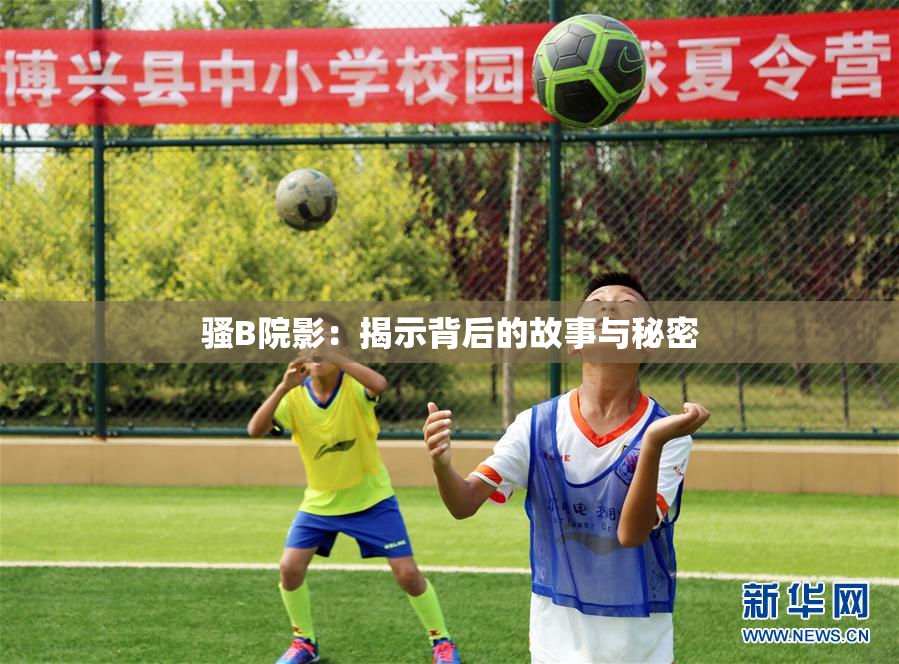 骚B院影：揭示背后的故事与秘密