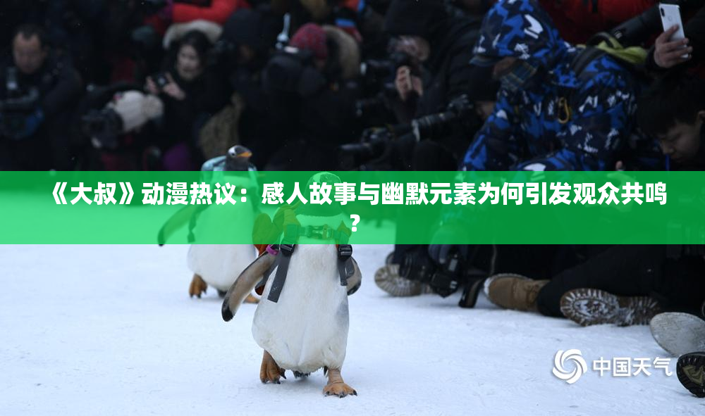 《大叔》动漫热议：感人故事与幽默元素为何引发观众共鸣？