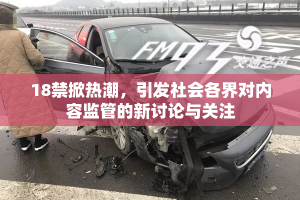 18禁掀热潮，引发社会各界对内容监管的新讨论与关注