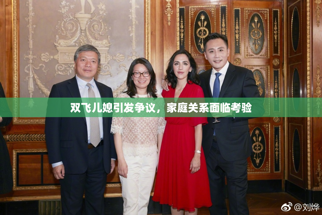 双飞儿媳引发争议，家庭关系面临考验
