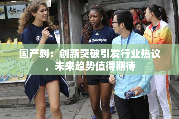 国产刺：创新突破引发行业热议，未来趋势值得期待