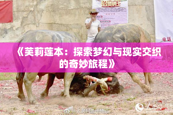 《芙莉莲本：探索梦幻与现实交织的奇妙旅程》
