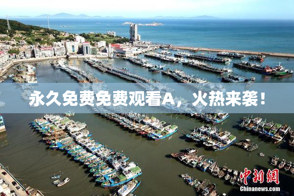 永久免费免费观看A，火热来袭！
