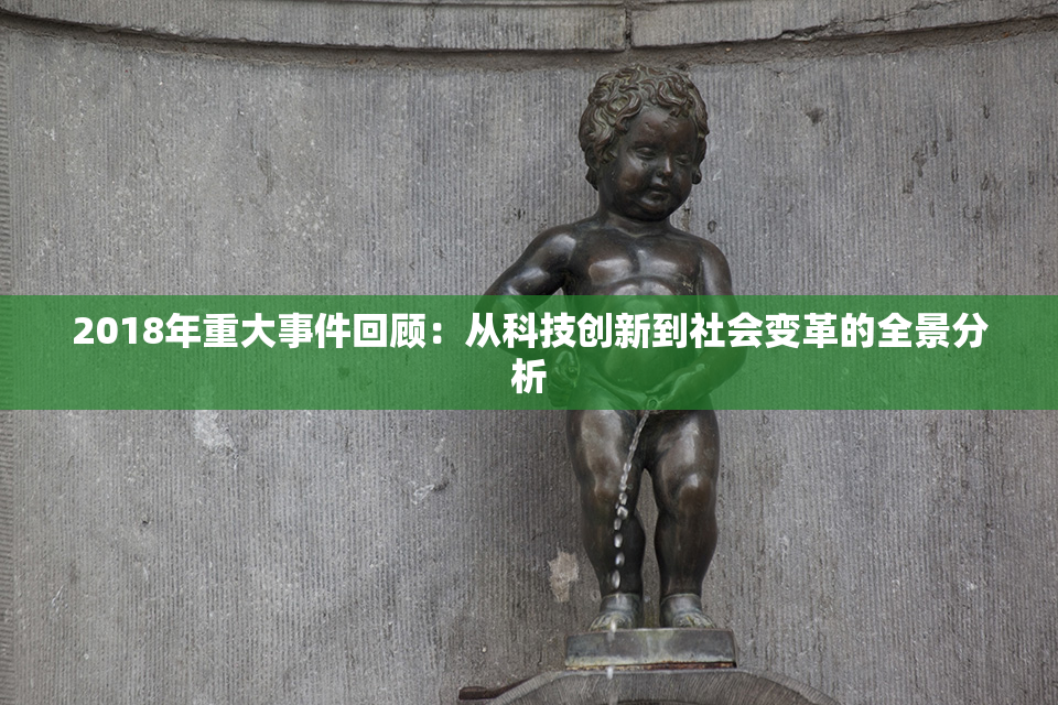 2018年重大事件回顾：从科技创新到社会变革的全景分析