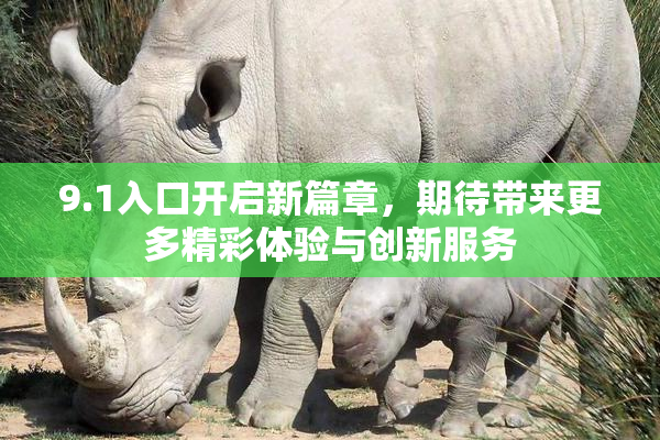 9.1入口开启新篇章，期待带来更多精彩体验与创新服务