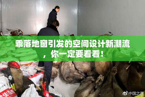 乖落地窗引发的空间设计新潮流，你一定要看看！