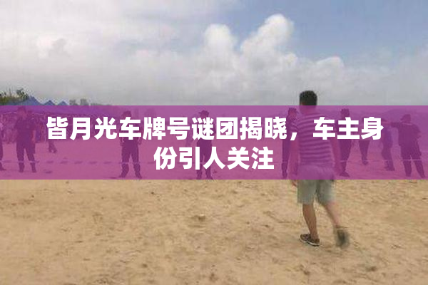 皆月光车牌号谜团揭晓，车主身份引人关注