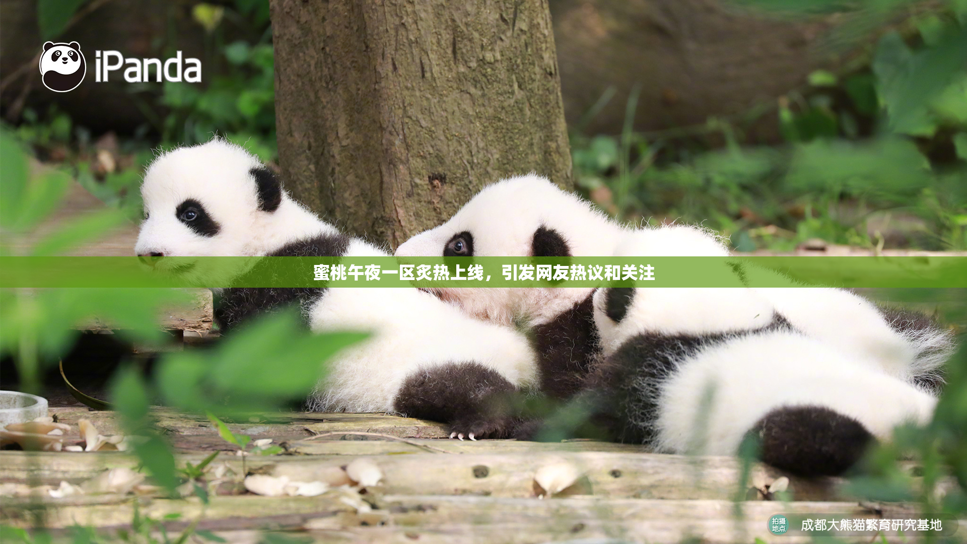 蜜桃午夜一区炙热上线，引发网友热议和关注