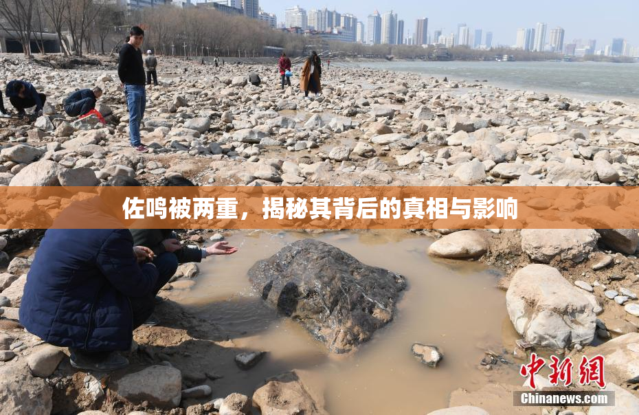 佐鸣被两重，揭秘其背后的真相与影响
