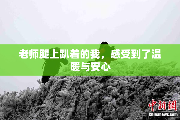 老师腿上趴着的我，感受到了温暖与安心