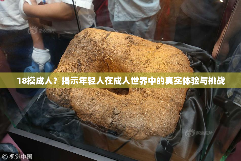 18摸成人？揭示年轻人在成人世界中的真实体验与挑战