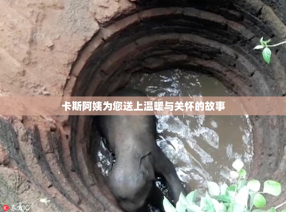 卡斯阿姨为您送上温暖与关怀的故事