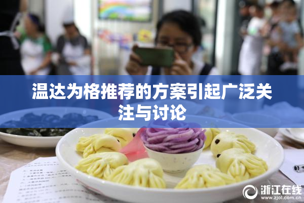 温达为格推荐的方案引起广泛关注与讨论