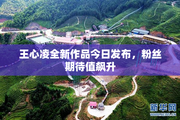 王心凌全新作品今日发布，粉丝期待值飙升