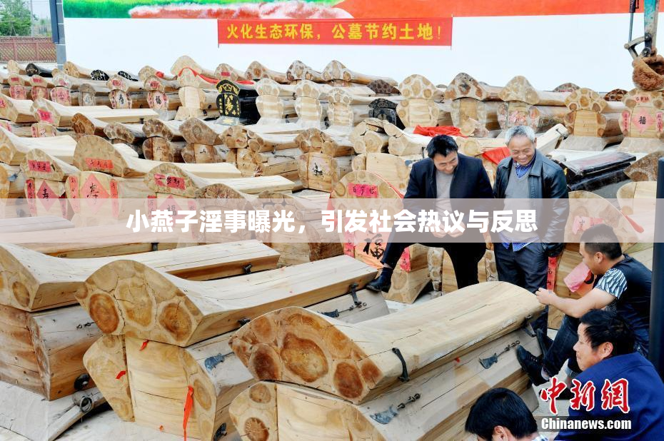 小燕子淫事曝光，引发社会热议与反思