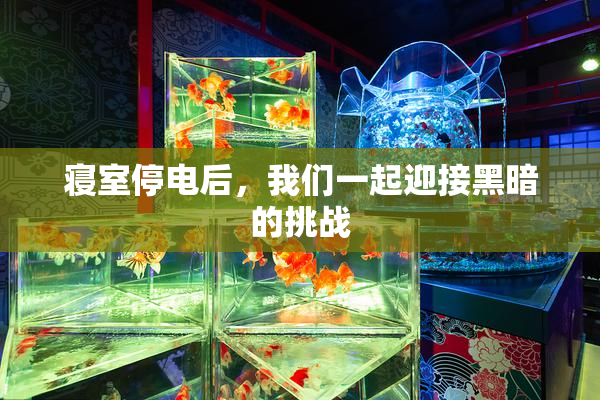 寝室停电后，我们一起迎接黑暗的挑战