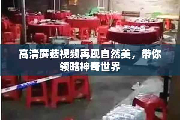 高清蘑菇视频再现自然美，带你领略神奇世界