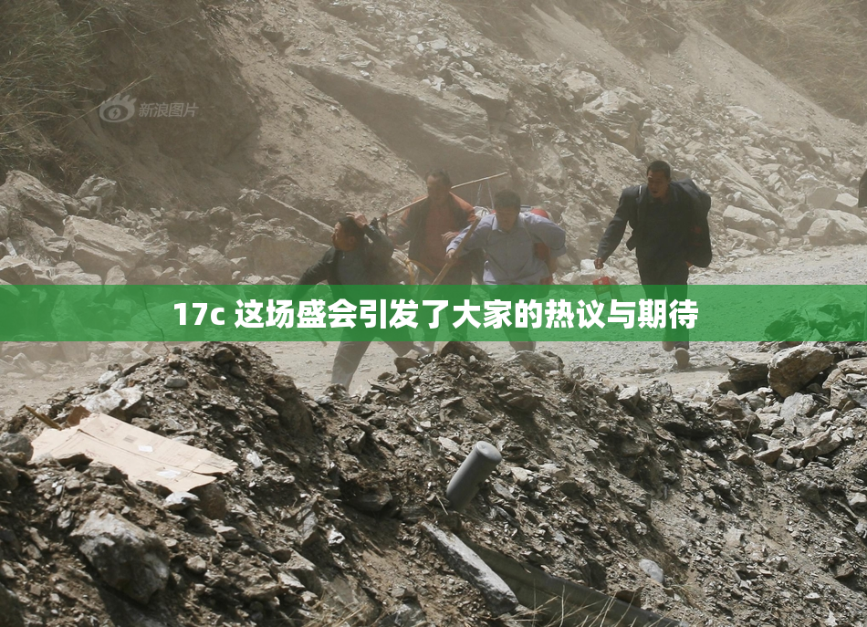 17c 这场盛会引发了大家的热议与期待