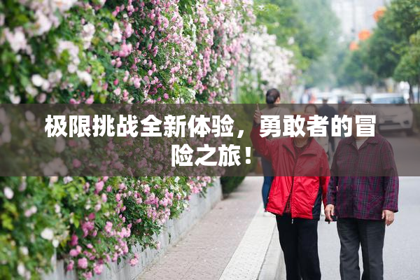 极限挑战全新体验，勇敢者的冒险之旅！
