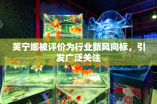 芙宁娜被评价为行业新风向标，引发广泛关注