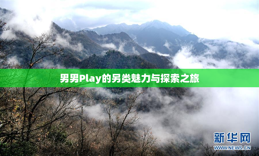 男男Play的另类魅力与探索之旅