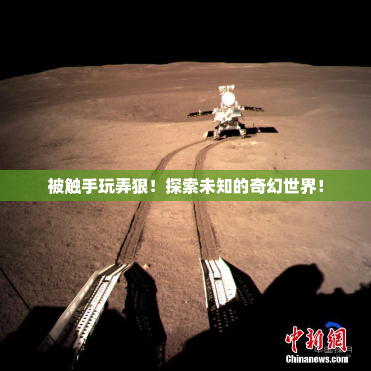 被触手玩弄狠！探索未知的奇幻世界！