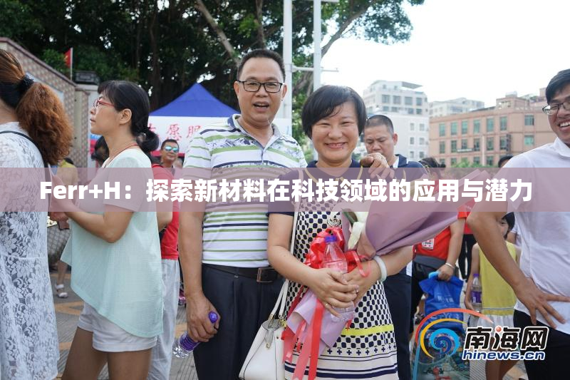 Ferr+H：探索新材料在科技领域的应用与潜力
