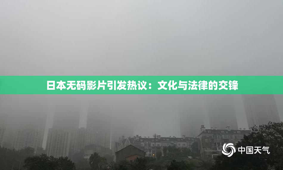 日本无码影片引发热议：文化与法律的交锋