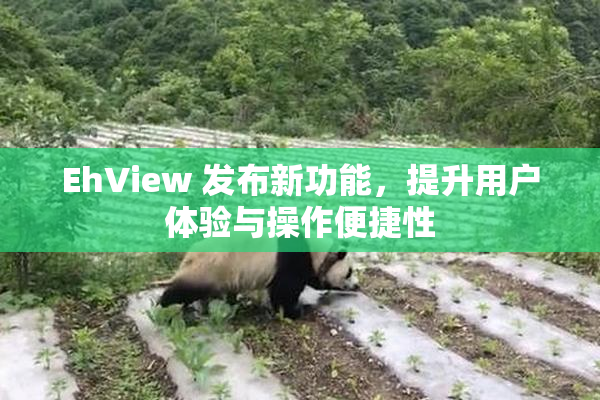 EhView 发布新功能，提升用户体验与操作便捷性