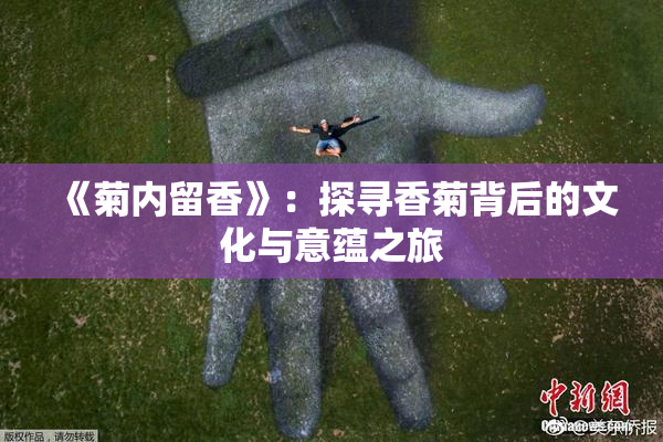 《菊内留香》：探寻香菊背后的文化与意蕴之旅