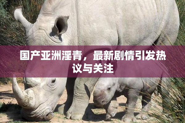 国产亚洲淫青，最新剧情引发热议与关注
