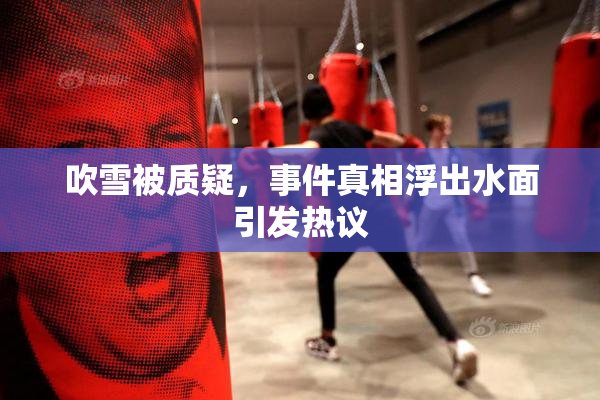 吹雪被质疑，事件真相浮出水面引发热议