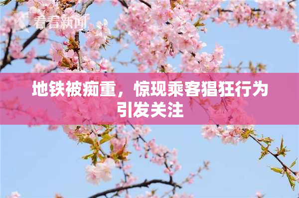 地铁被痴重，惊现乘客猖狂行为引发关注
