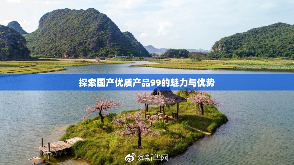 探索国产优质产品99的魅力与优势