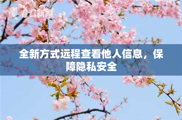 全新方式远程查看他人信息，保障隐私安全