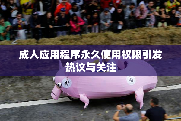 成人应用程序永久使用权限引发热议与关注