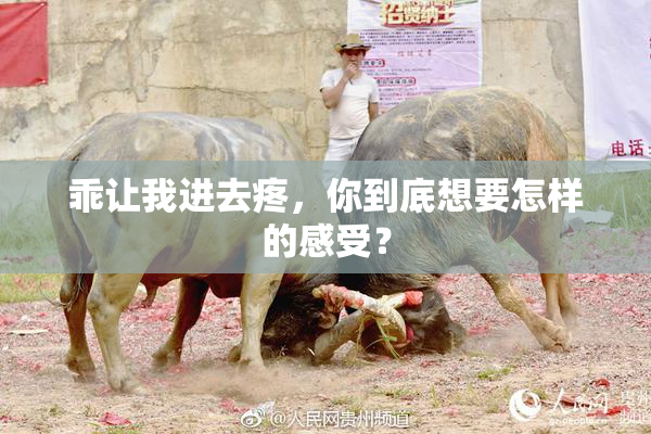 乖让我进去疼，你到底想要怎样的感受？
