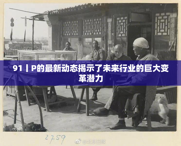 91丨P的最新动态揭示了未来行业的巨大变革潜力