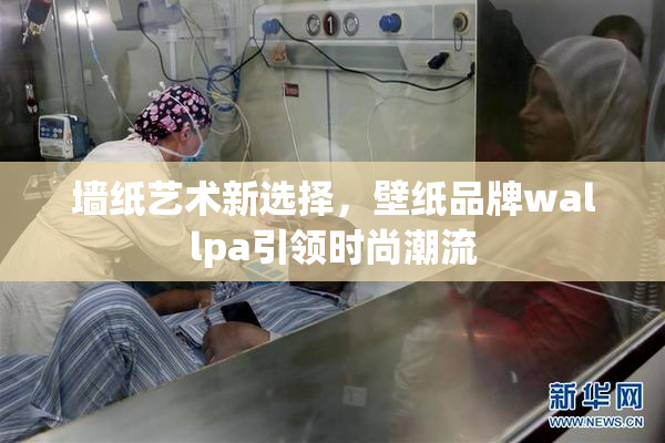 墙纸艺术新选择，壁纸品牌wallpa引领时尚潮流