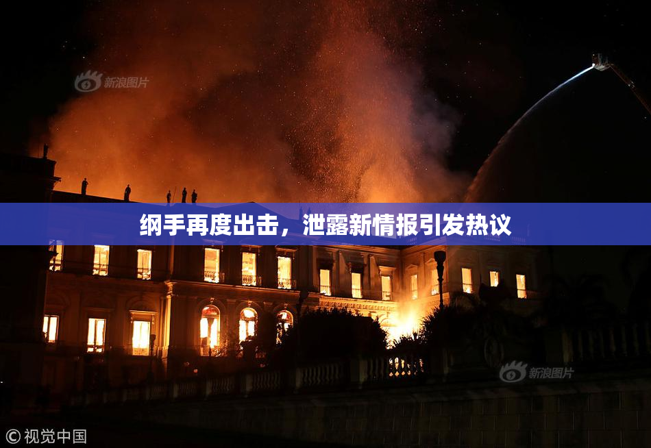 纲手再度出击，泄露新情报引发热议