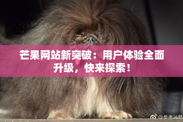芒果网站新突破：用户体验全面升级，快来探索！
