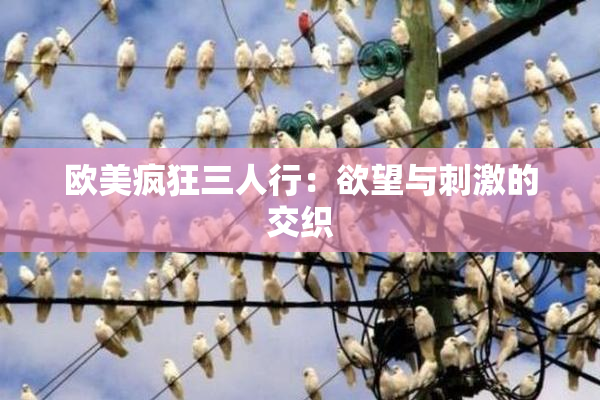 欧美疯狂三人行：欲望与刺激的交织