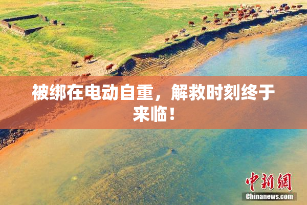被绑在电动自重，解救时刻终于来临！