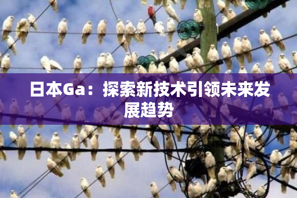 日本Ga：探索新技术引领未来发展趋势