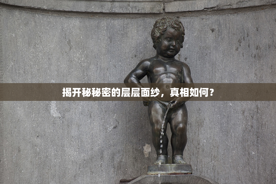 揭开秘秘密的层层面纱，真相如何？