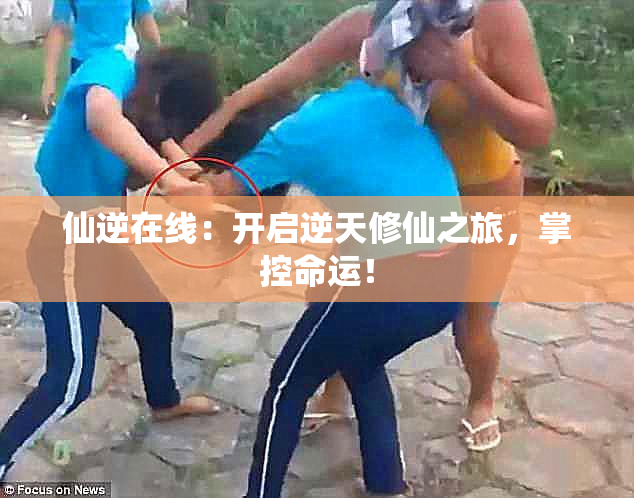 仙逆在线：开启逆天修仙之旅，掌控命运！